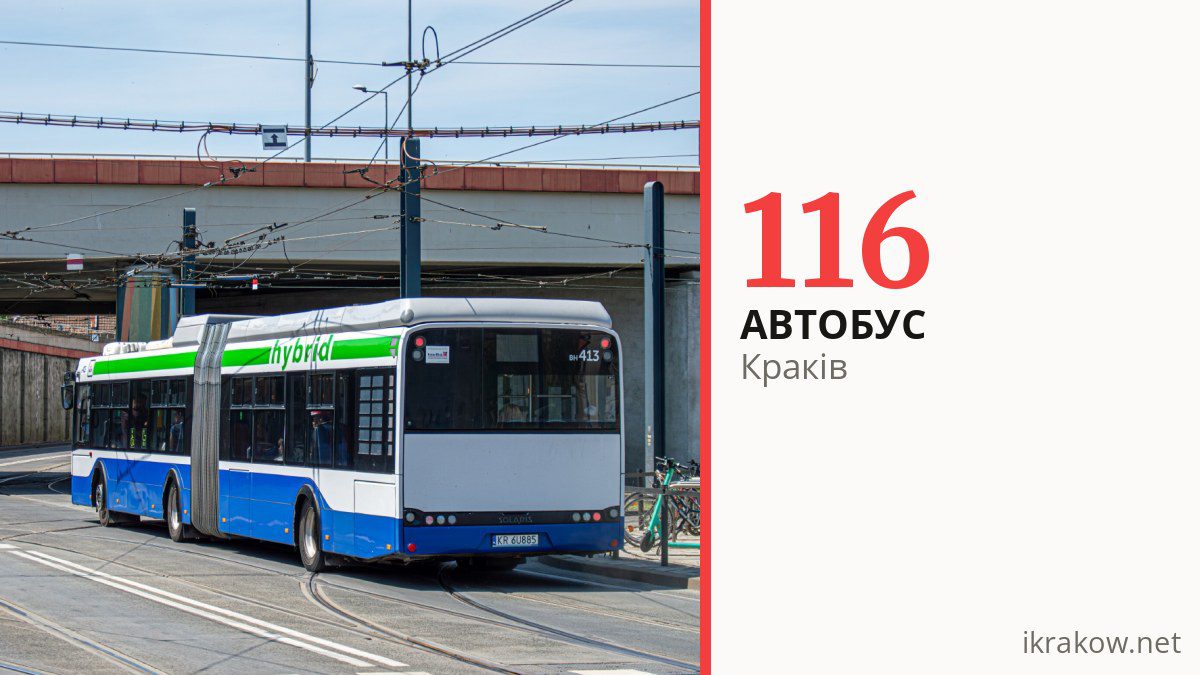 Автобус 116 у Кракові