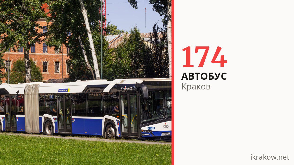 Автобус 174 в Кракове