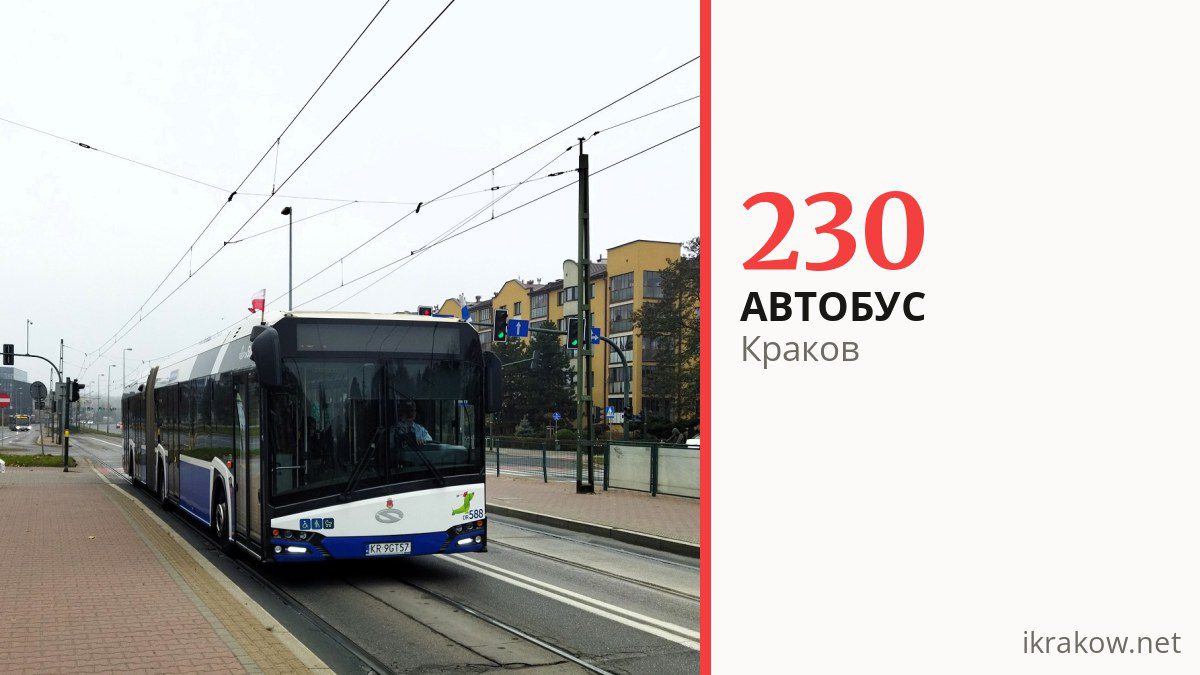 Автобус 230 в Кракове