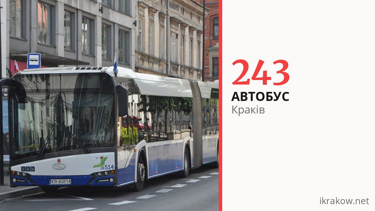 Автобус 243 у Кракові