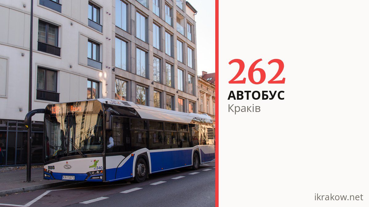 Автобус 262 у Кракові