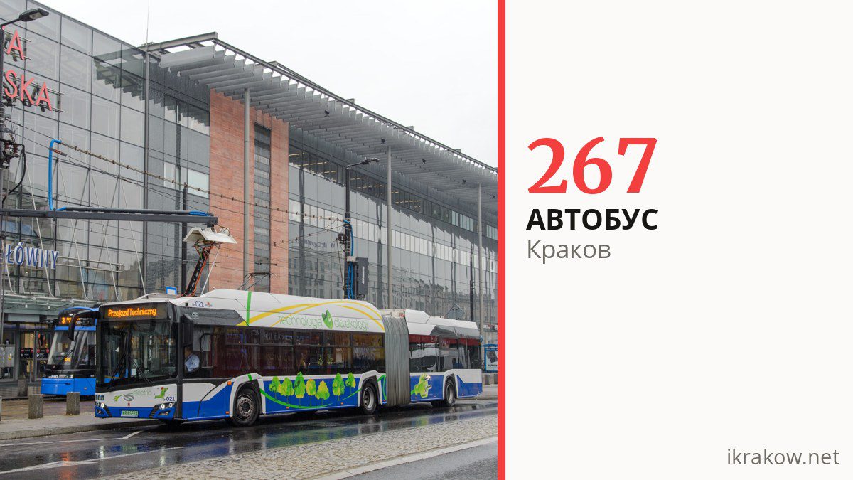 Автобус 267 в Кракове