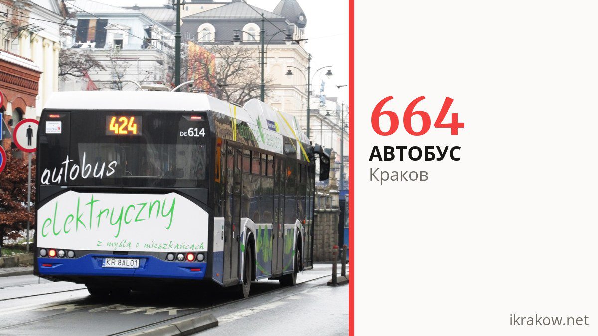 Ночной автобус 664 в Кракове