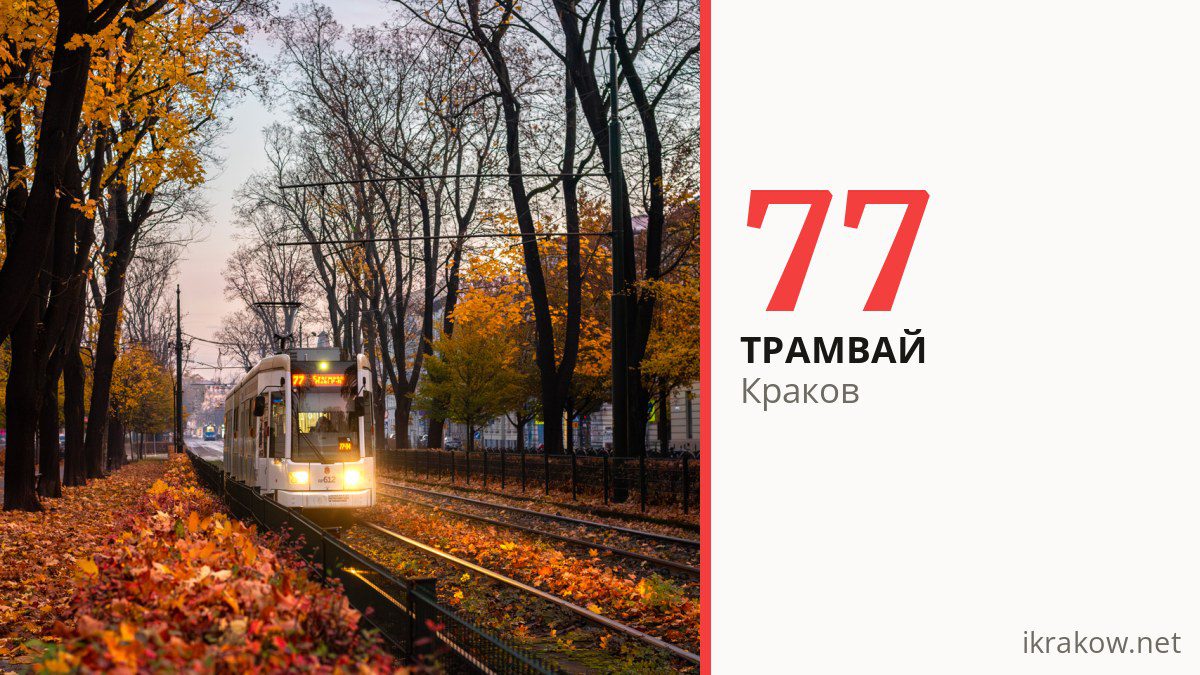 Трамвай 77 в Кракове