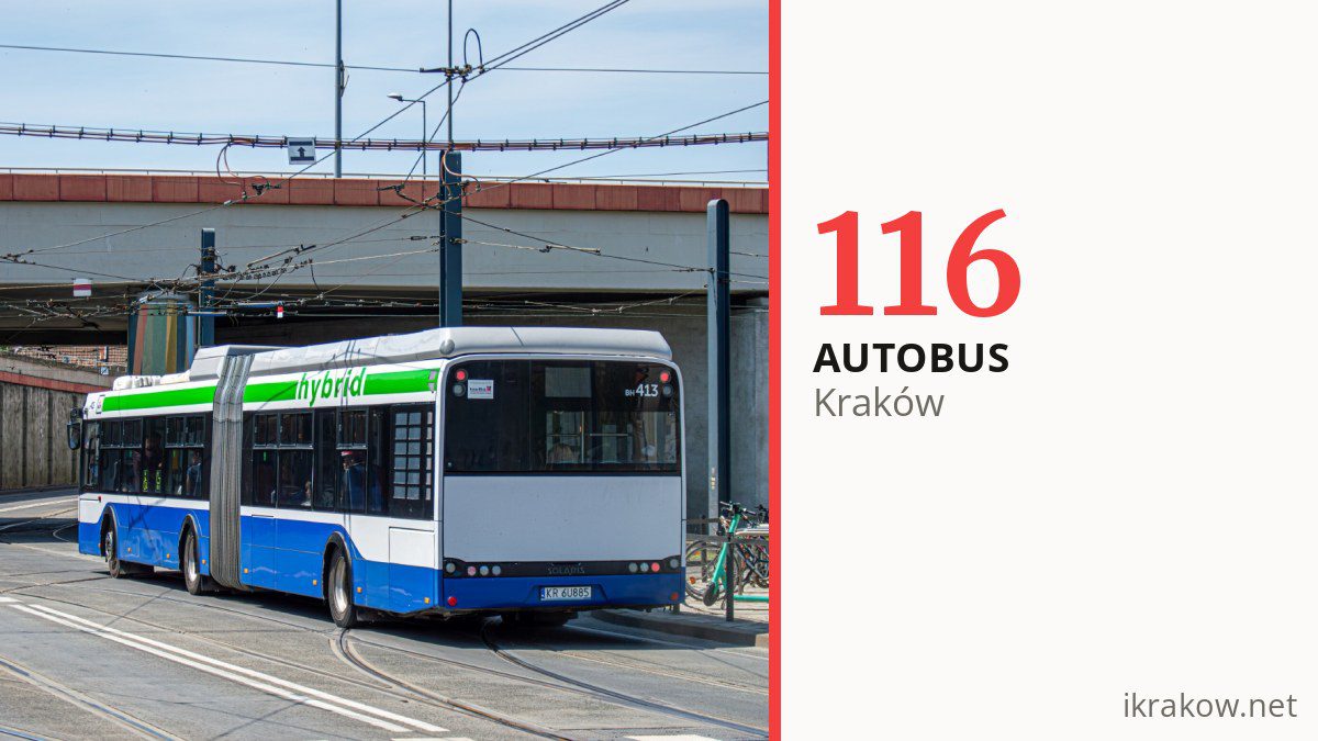 Autobus 116 w Krakowie