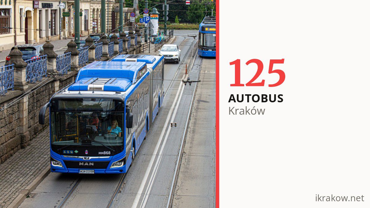 Autobus 125 w Krakowie