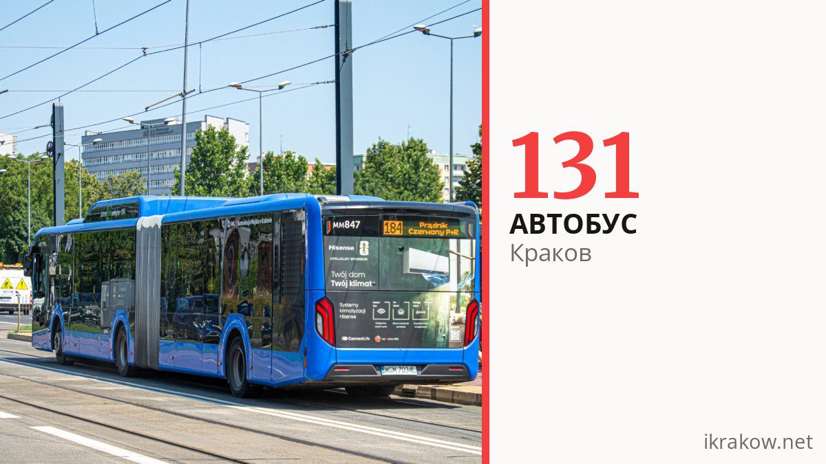 Автобус 131 в Кракове