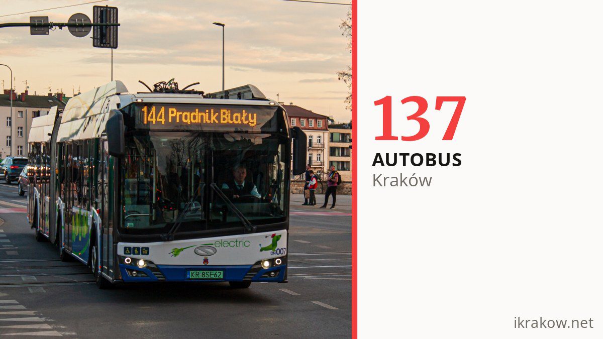Autobus 137 w Krakowie