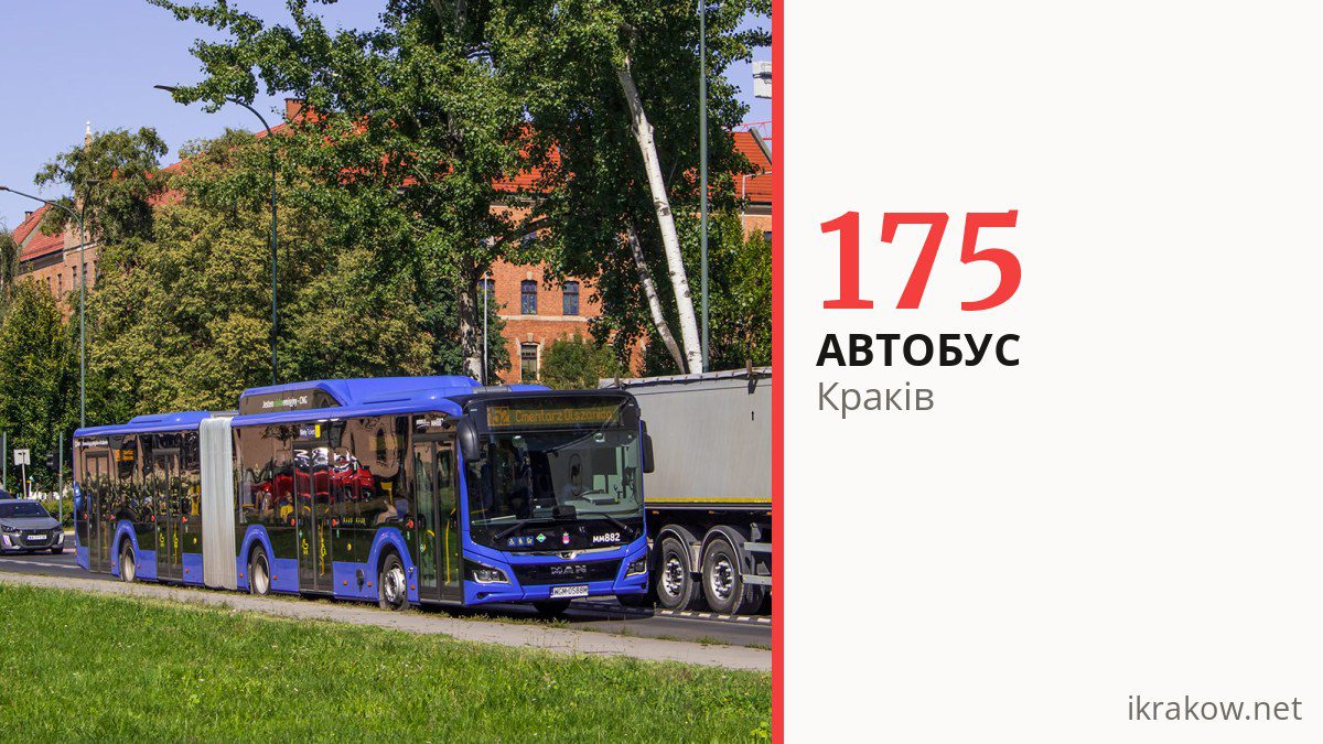 Автобус 175 у Кракові