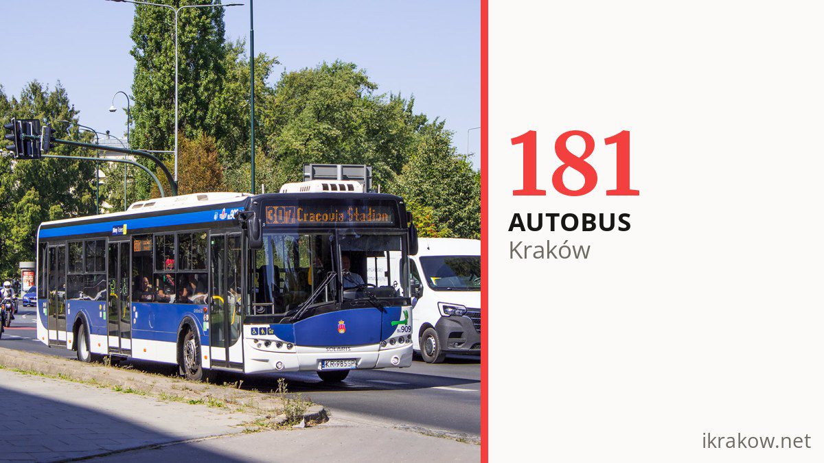 Autobus 181 w Krakowie
