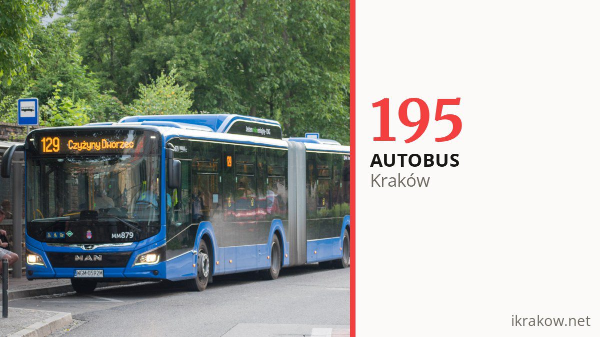 Autobus 195 w Krakowie