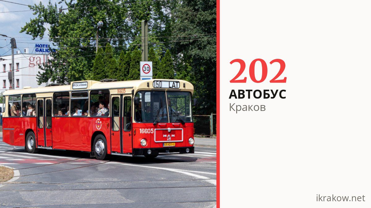 Автобус 202 в Кракове