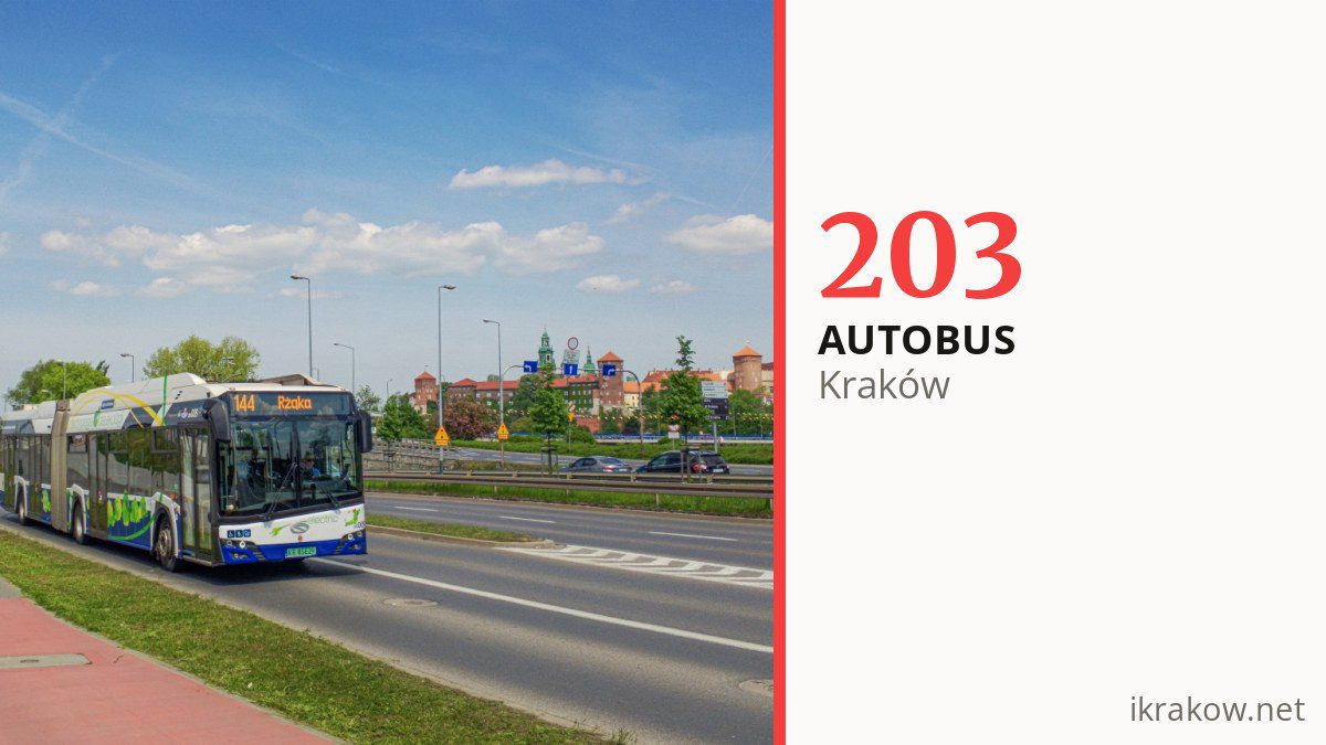 Autobus 203 w Krakowie
