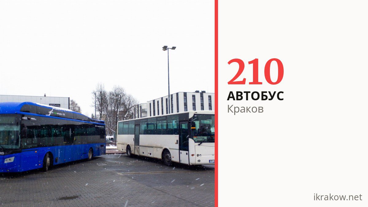 Автобус 210 в Кракове