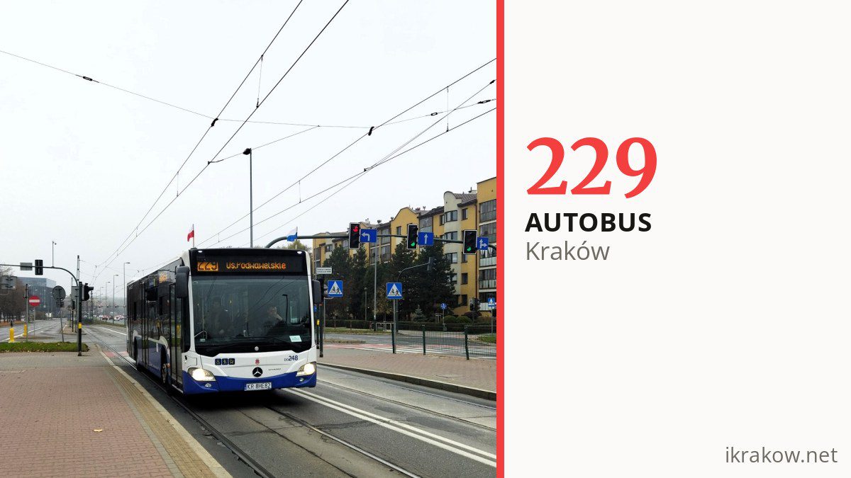 Autobus 229 w Krakowie