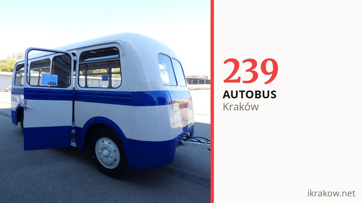Autobus 239 w Krakowie
