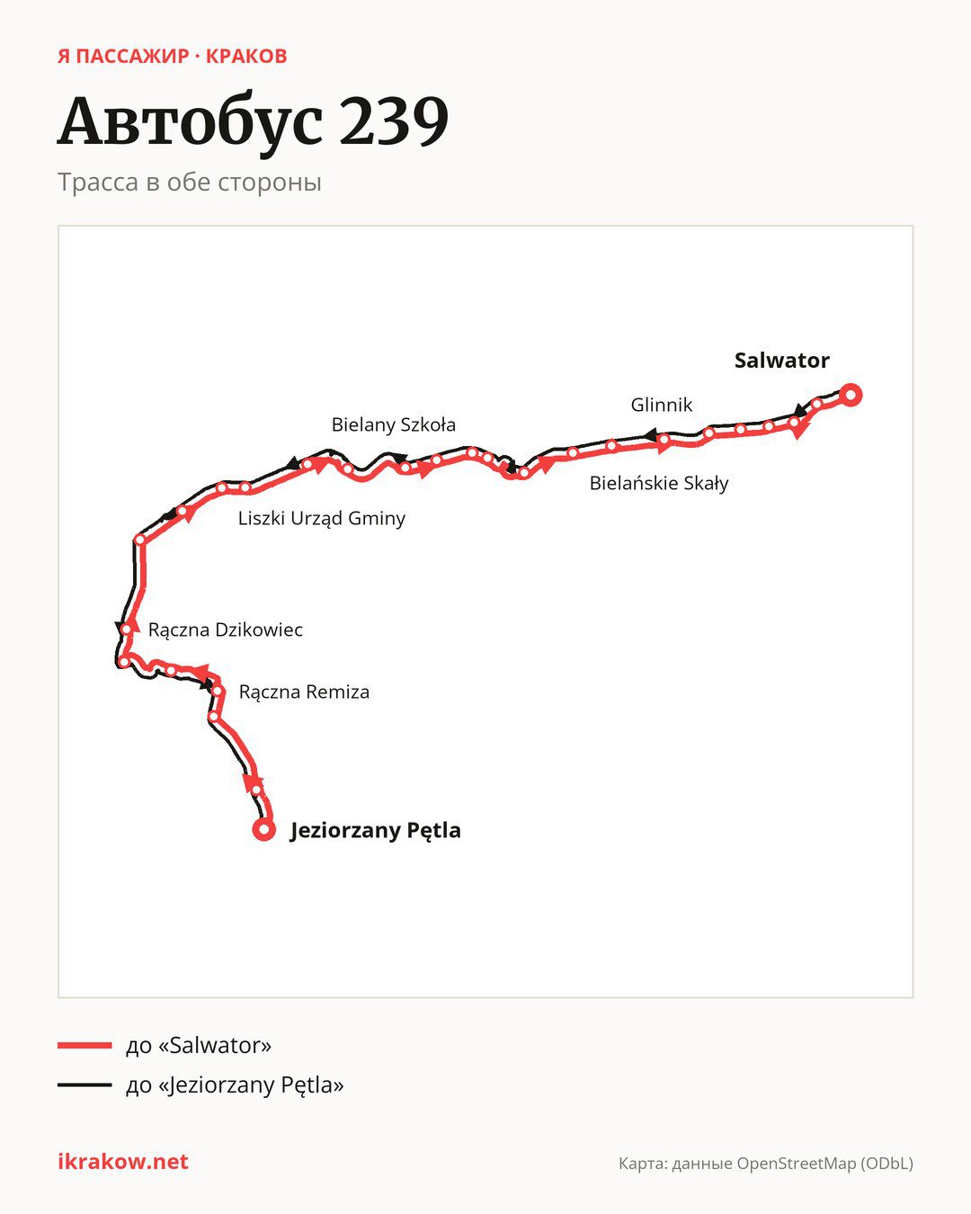Автобус 239 в Кракове на карте: трасса в обе стороны