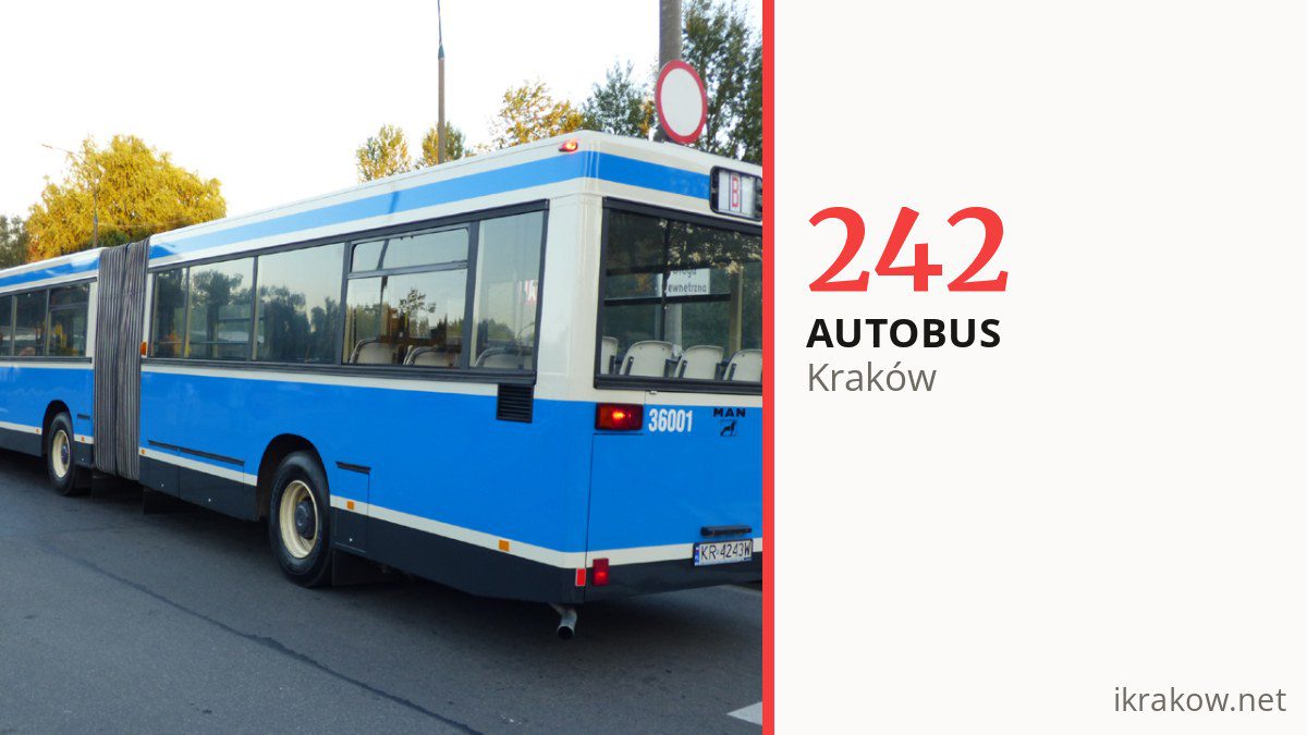 Autobus 242 w Krakowie