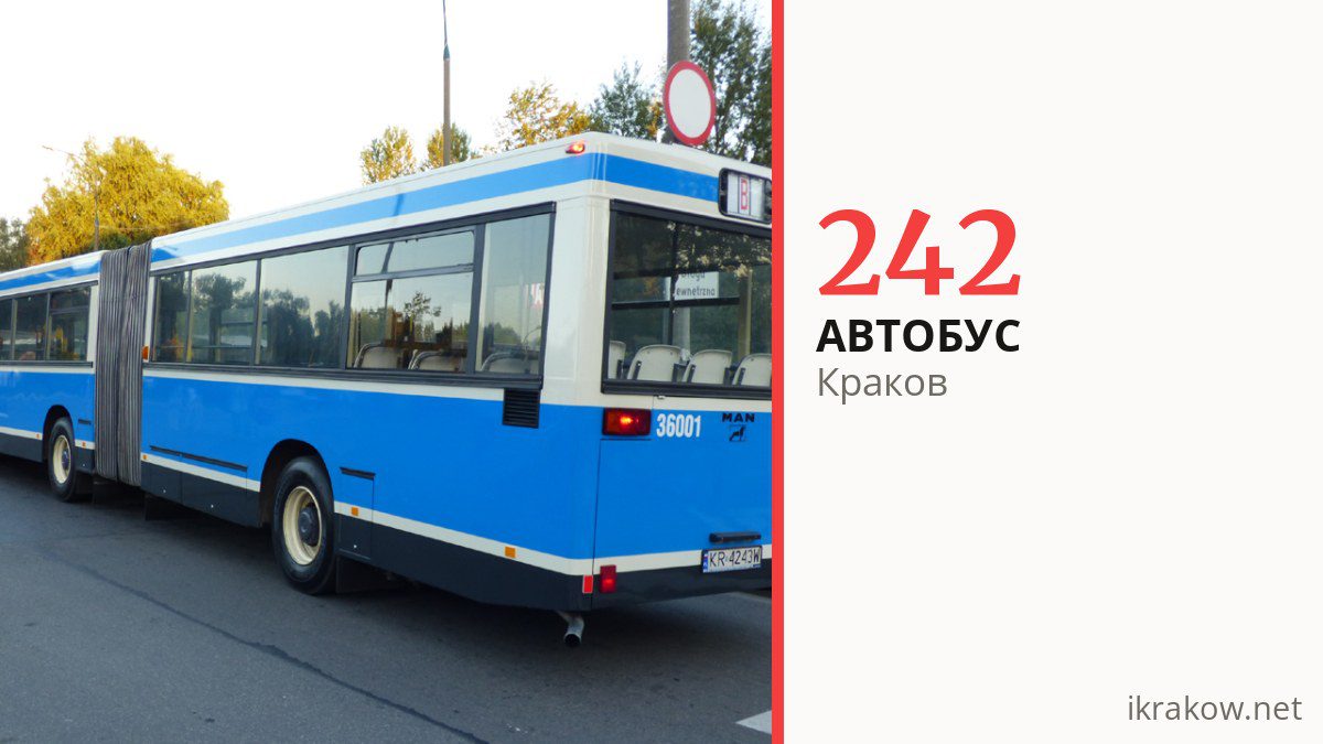 Автобус 242 в Кракове