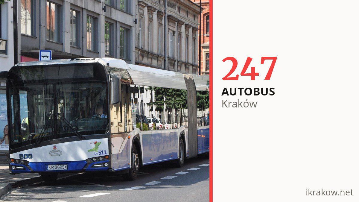 Autobus 247 w Krakowie