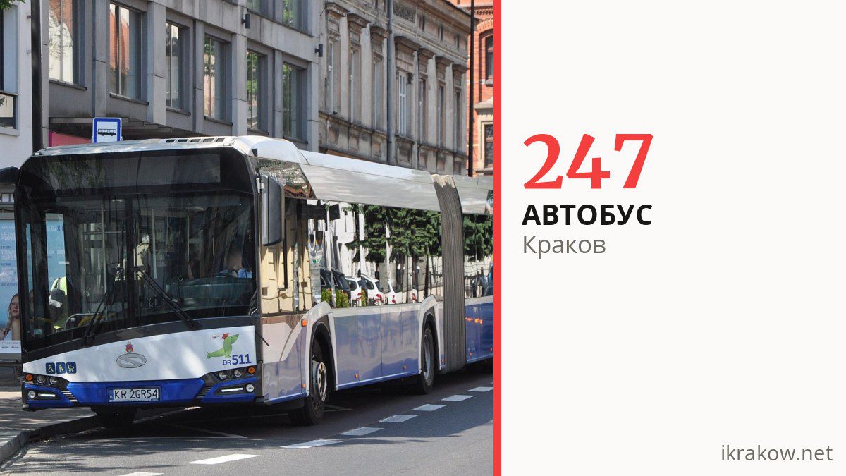 Автобус 247 в Кракове