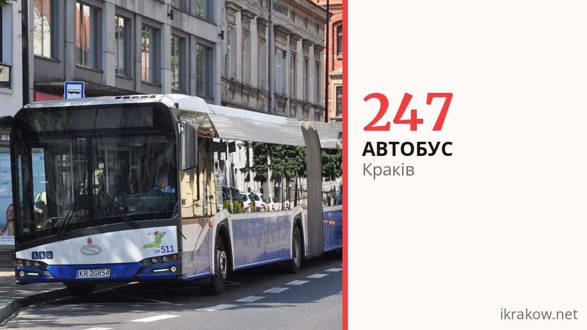 Автобус 247 у Кракові