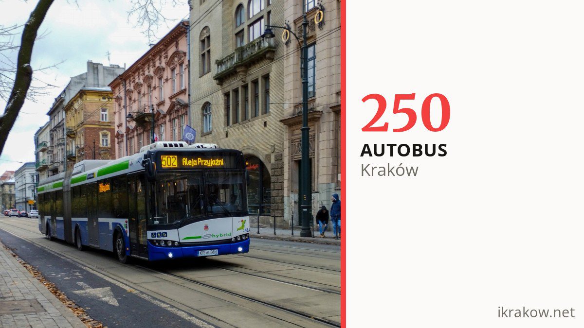 Autobus 250 w Krakowie
