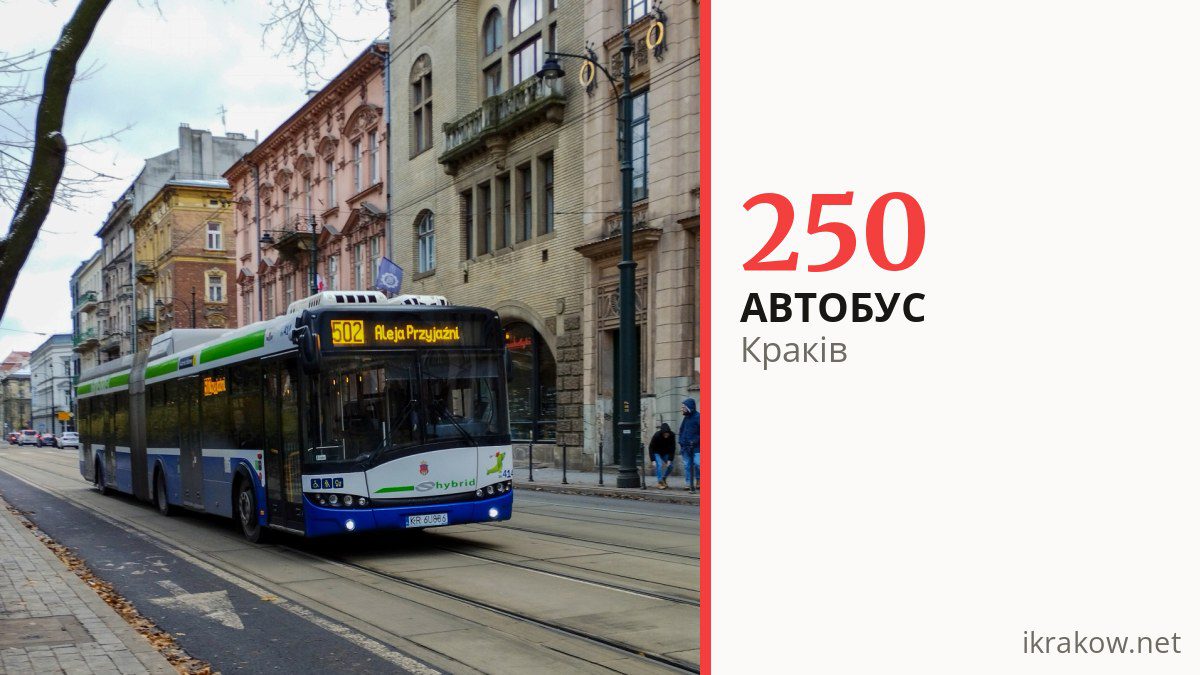 Автобус 250 у Кракові