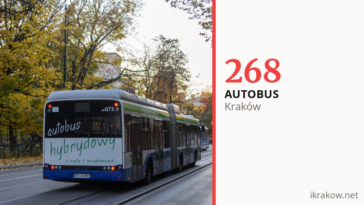 Autobus 268 w Krakowie