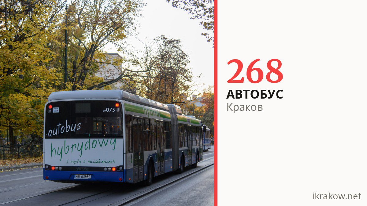 Автобус 268 в Кракове