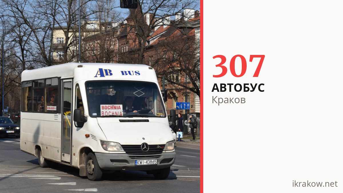 Автобус 307 в Кракове