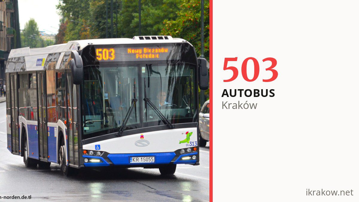 Autobus 503 w Krakowie