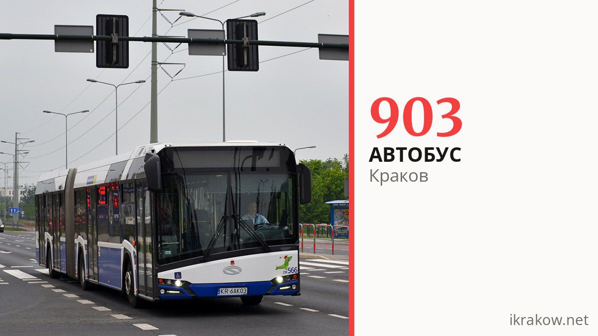 Ночной автобус 903 в Кракове